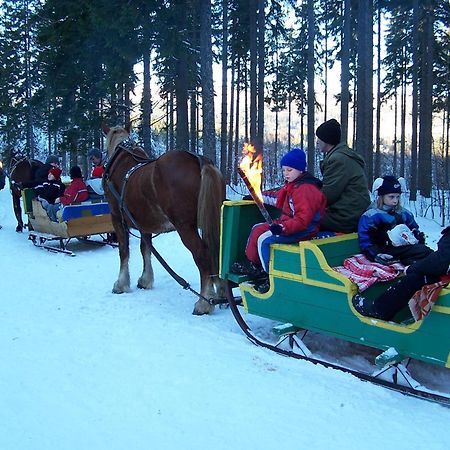 Orchidea Bed & Breakfast Шклярска Поремба Екстериор снимка